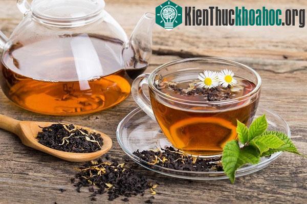 Ngược dòng lịch sử tìm hiểu về nguồn gốc của trà