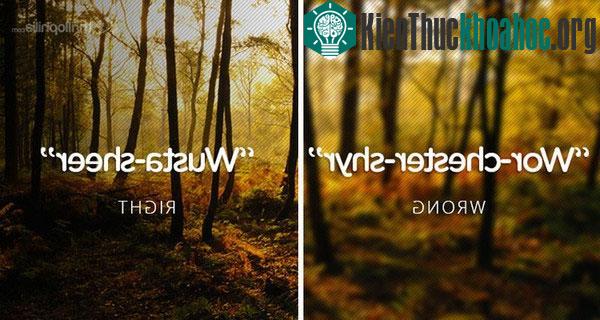 Thành phố Worcestershire - nơi có cánh đồng hoa Baldelli Poppy - tượng trưng cho niềm hi vọng và sự sống vĩnh hằng thường bị đọc nhầm là "Wor-che...