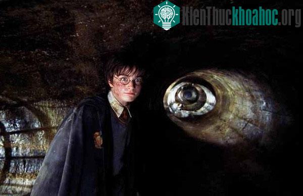 Lời giải cho việc nhiều người nghiện đọc Harry Potter