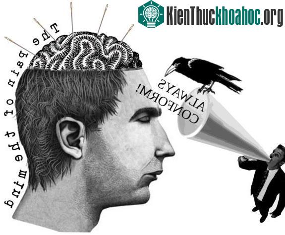Để điều khiển tâm trí, hãy chia nhỏ nhiều phần thưởng miễn phí
