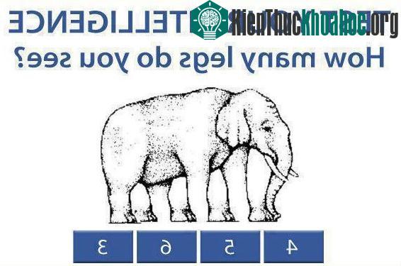 Đây là một trong những câu hỏi kiểm tra chỉ số IQ.