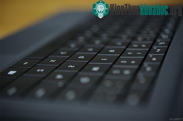 Vì sao chúng ta khó phát hiện lỗi chính tả của bản thân? ảnh 2