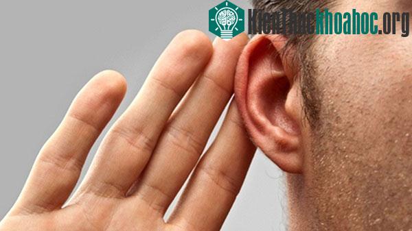 Rõ ràng, không phải lúc nào tai cũng nghe chính xác.