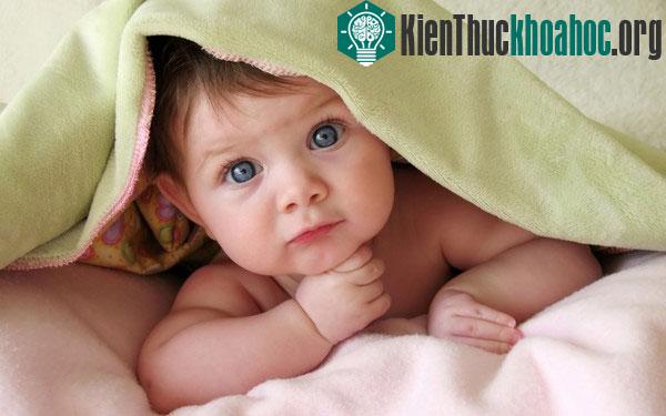 Thử nghiệm tâm lý cho thấy "Lòng tin ở con người vẫn hiện hữu"