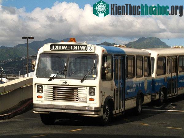 Tìm hiểu ngọn ngành nguồn gốc cái tên Wiki