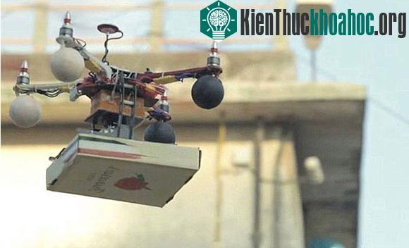 Những cuộc vận chuyển ly kỳ nhất thế giới