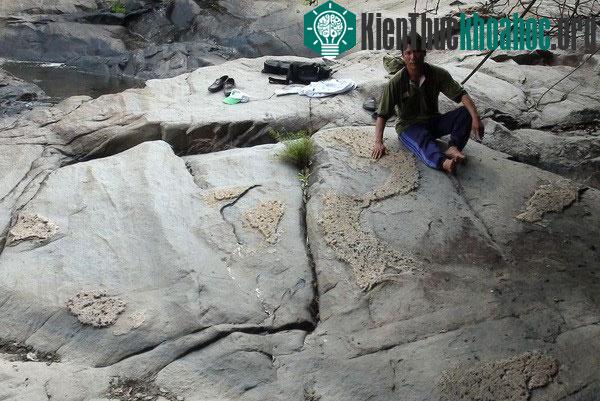 Phát hiện phiến đá nổi lên hình ảnh về bản đồ Việt Nam
