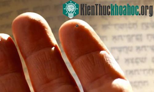 Hình ảnh cuốn Kinh Thánh nano nhỏ nhất hành tinh.