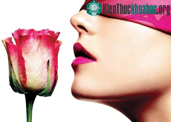 5 khám phá mới gây ngỡ ngàng về lưỡi và tai con người