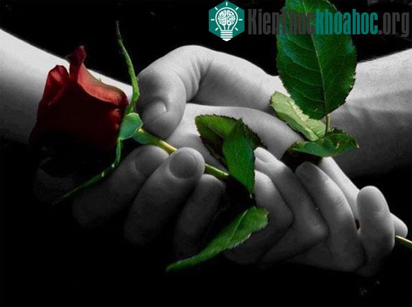 Vì sao sự trả thù lại ngọt ngào?