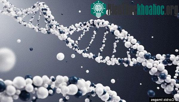 Những dự báo chấn động về thế giới năm 2025