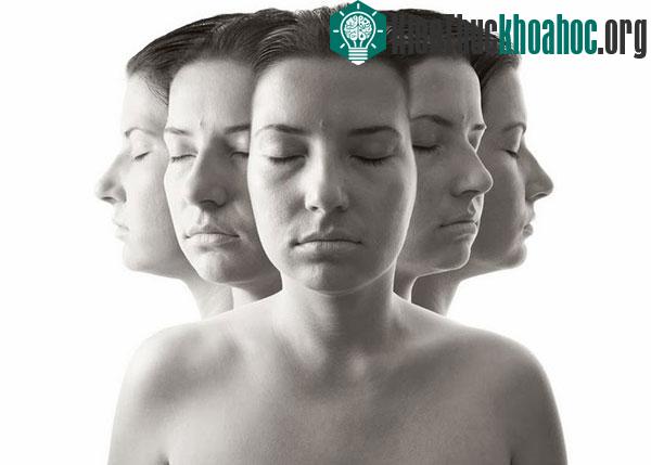 Những lầm tưởng về tính cách “hướng nội” của con người ảnh 2