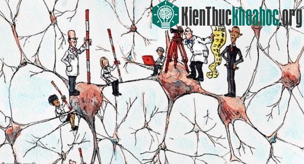Check "độ sai lệch của não" mà ta không ngờ tới