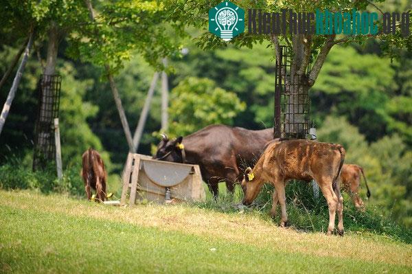 Nước uống phải đạt đến độ tinh khiết - đó là điều không cần bàn cãi.