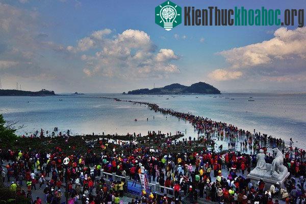 Lễ hội thu hút rất nhiều khách du lịch tham gia.