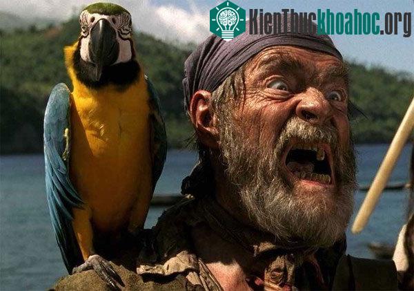 Quan niệm mặc định của con người về cướp biển thời xưa