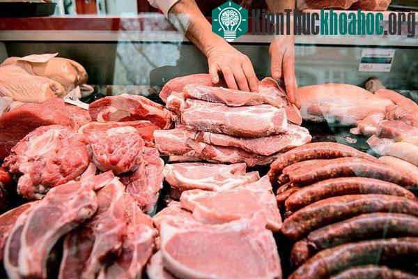 Nếu không ăn thịt con người sẽ ra sao?
