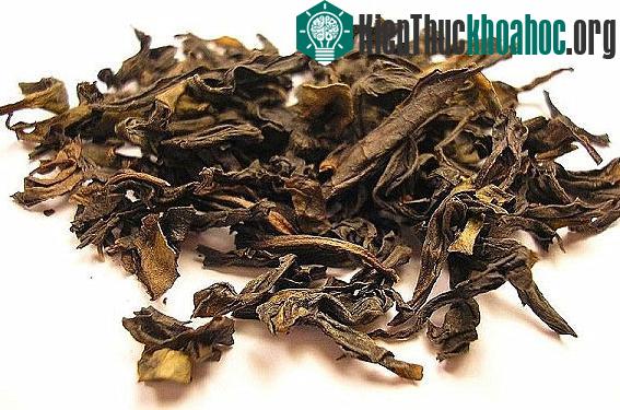 Lá trà ban đầu chỉ được dùng với mục đích chữa bệnh.