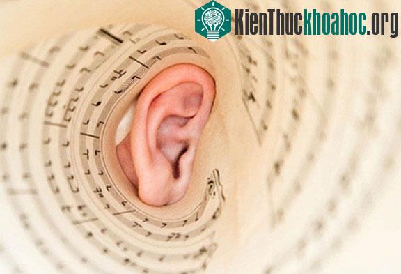 Cách não đánh lừa cơ thể mà ta không biết