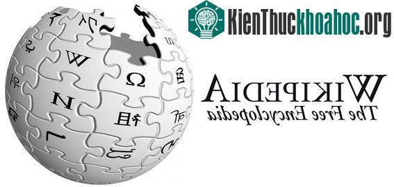 Tìm hiểu ngọn ngành nguồn gốc cái tên Wiki