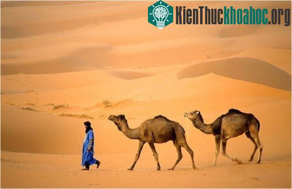 Check phản ứng cơ thể trước những tác nhân "chết người"