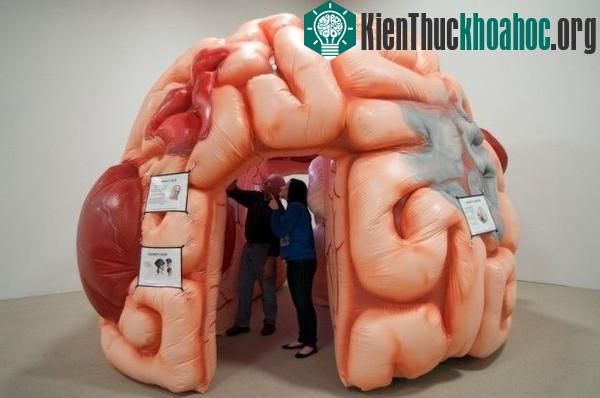 Liệu bộ não có bị "nổ tung" khi quá tải thông tin