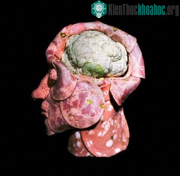 7 kỹ năng ghi nhớ giúp bạn có trí thông minh "tuyệt đỉnh"