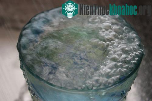 30 sự thật hiển nhiên thường bị hiểu sai