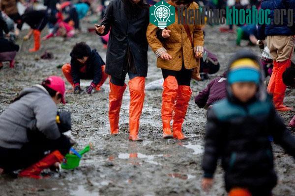 Khi đó, khách du lịch có thể thoải mái tham gia các hoạt động vui chơi ngay giữa biển mà không sợ gặp bất trắc gì.