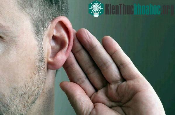 Bí kíp "kích thích não bộ" giúp bạn làm việc hiệu quả hơn