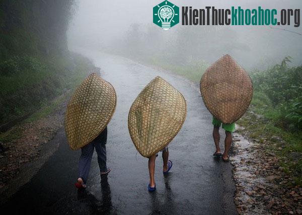 Cuộc sống kỳ lạ tại nơi “ẩm ướt nhất thế giới”