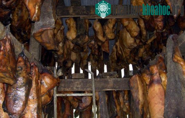 Khám phá cuộc sống khắc nghiệt thời Trung cổ