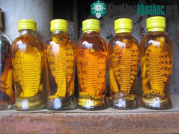 16 thức uống kỳ quặc nhất thế giới