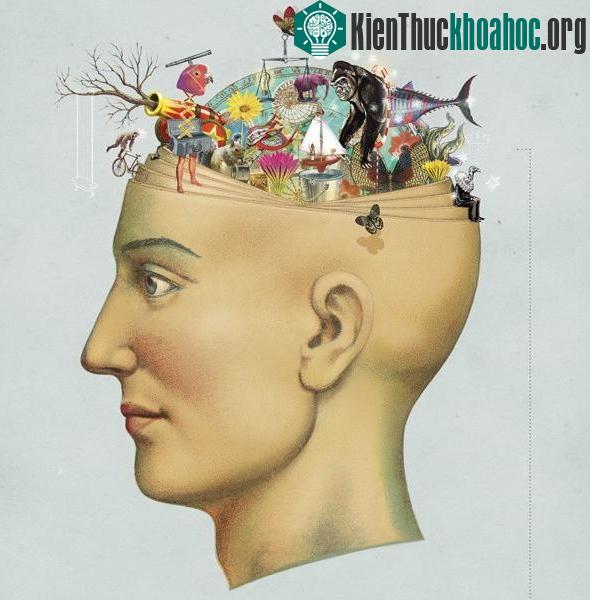 Check "độ sai lệch của não" mà ta không ngờ tới