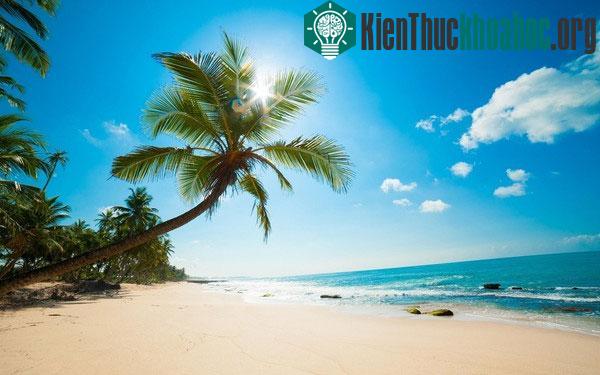 Ngửi mùi hương đặc trưng của các nước vòng quanh thế giới- ảnh 6