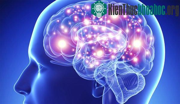 10 bí mật về nụ hôn