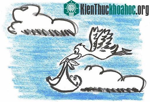 Trẻ sinh trên máy bay thì mang quốc tịch nào?