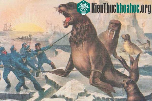 Da tay nhăn giúp tổ tiên của chúng ta cầm, nắm vũ khí dễ hơn khi đối mặt với thú dữ.