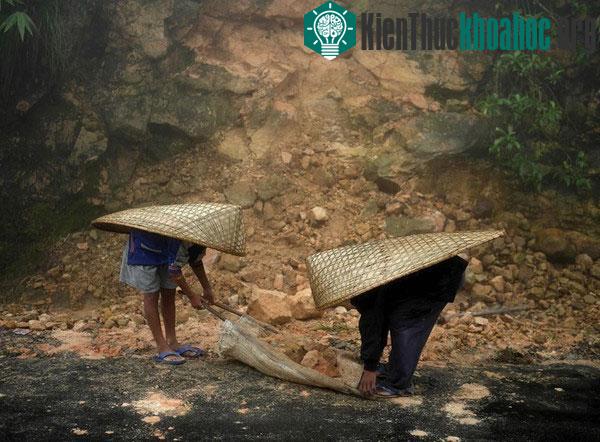 Cuộc sống kỳ lạ tại nơi “ẩm ướt nhất thế giới”