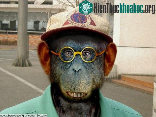 3 phát hiện khoa học về con người khiến bạn sửng sốt