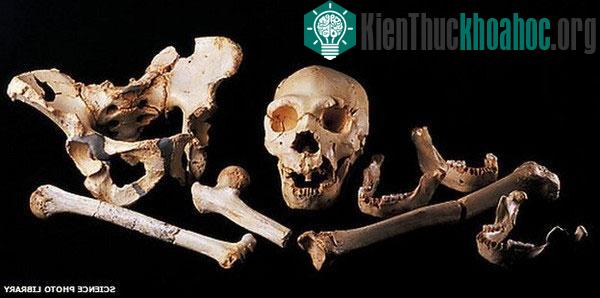 Xem cách các chuyên gia nhận biết danh tính người chết
