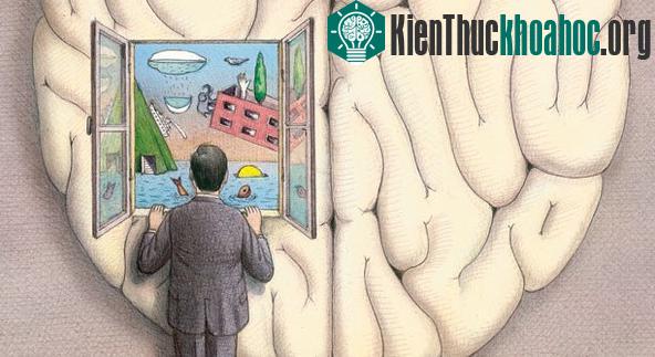 Check "độ sai lệch của não" mà ta không ngờ tới