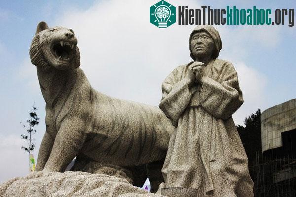 Hình ảnh bà lão Bbyong chắp tay cầu khấn thần biển mong thoát khỏi kiếp nạn hổ dữ
