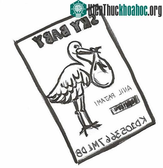 Một tấm hộ chiếu với quốc tịch "bầu trời" có thể là phương án khả thi trong trường hợp này?