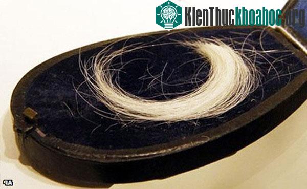 Xem cách các chuyên gia nhận biết danh tính người chết