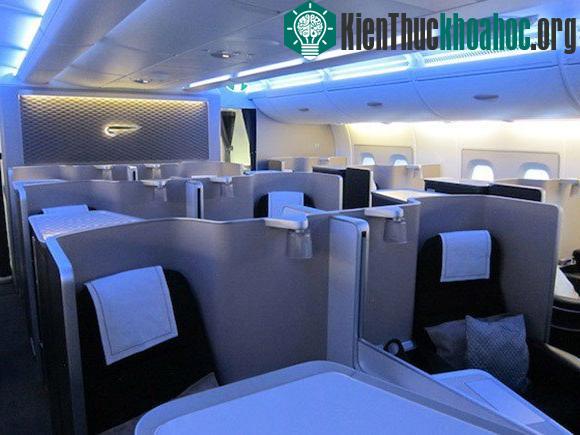 Những cuộc vận chuyển ly kỳ nhất thế giới