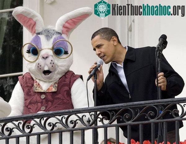 Thỏ phục sinh và đương kim tổng thống Mỹ Barack Obama.