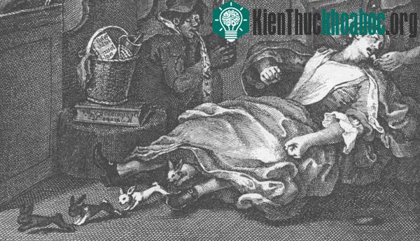 Câu chuyện của Mary Toft trên báo chí lúc bấy giờ