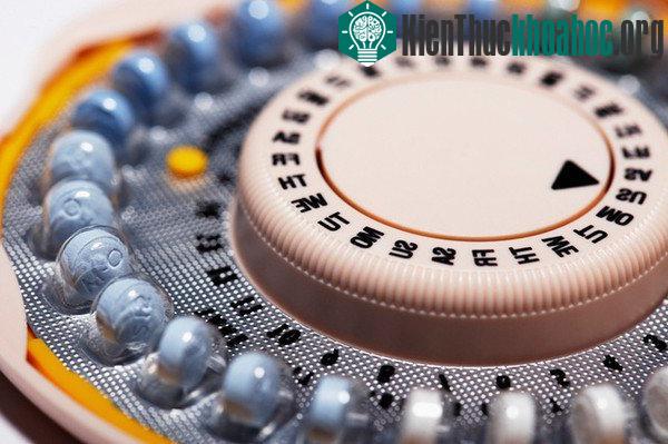 Thuốc tránh thai không chỉ có công dụng kiểm soát sự sinh sản mà còn làm thay đổi tiêu chuẩn mỹ nam qua các thế hệ