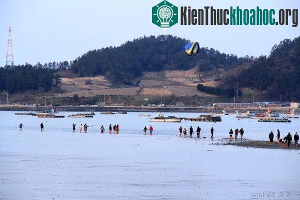 Hình ảnh con đường chưa lộ rõ vì nước biển chưa rút hẳn